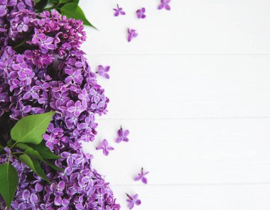 Beyaz ahşap zemin üzerinde Eflatun çiçekler