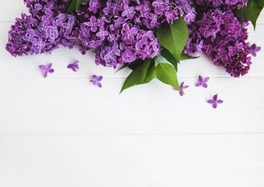 Beyaz ahşap zemin üzerinde Eflatun çiçekler