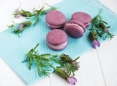 macarons lavanta lezzet ve taze lavanta çiçekleri ile Fransız