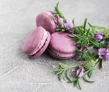 macarons lavanta lezzet ve taze lavanta çiçekleri ile Fransız