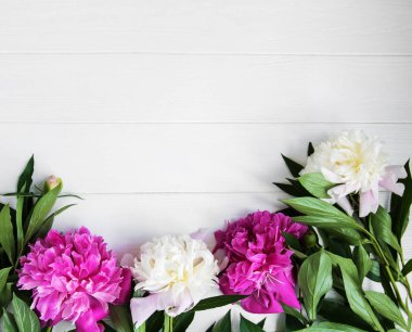 güzel pembe ve beyaz şakayık çiçekleri Beyaz ahşap zemin üzerinde