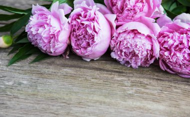 eski ahşap arka plan güzel pembe şakayık çiçekleri