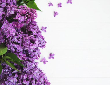 Beyaz ahşap zemin üzerinde Eflatun çiçekler