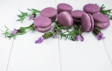 macarons lavanta lezzet ve taze lavanta çiçekleri ile Fransız