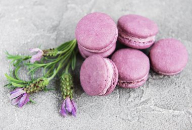 macarons lavanta lezzet ve taze lavanta çiçekleri ile Fransız