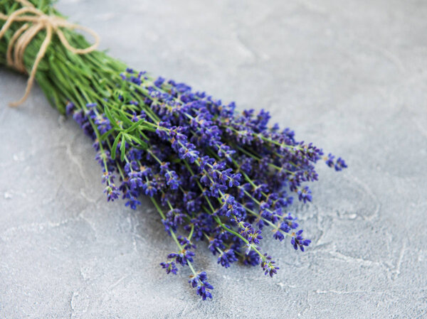 свежие цветы лаванды на бетонном фоне
