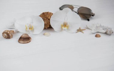 Kabukları, orkide ve beyaz ahşap zemin üzerinde güneş gözlüğü