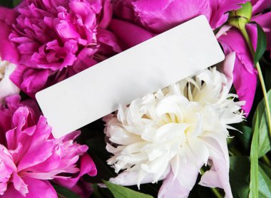 davetiye ve doğal bir arka plan olarak pembe şakayık çiçekleri