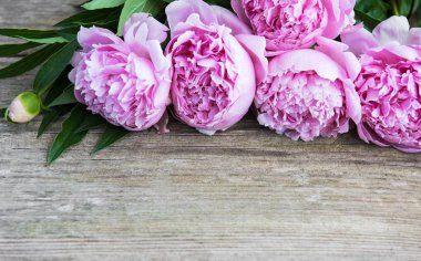 eski ahşap arka plan güzel pembe şakayık çiçekleri