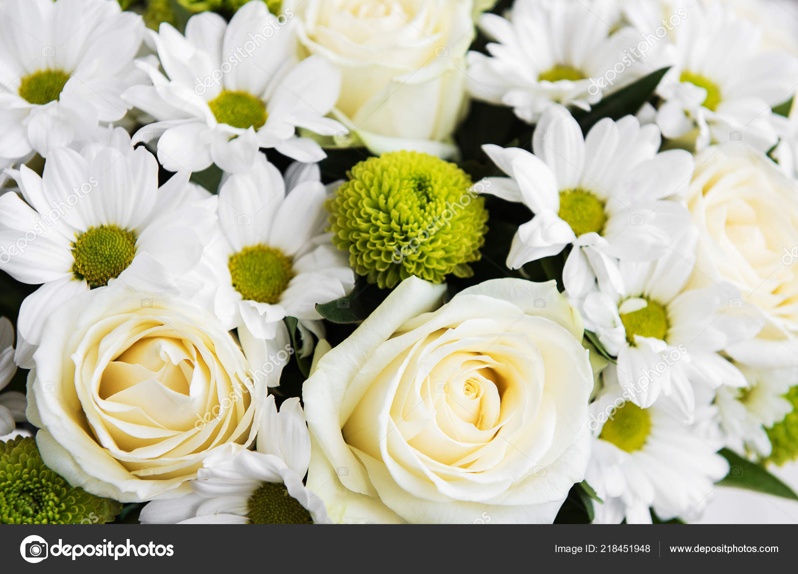 Bouquet Fleurs Blanches Roses Marguerites Photographie