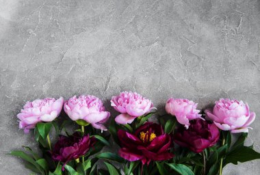 güzel pembe şakayık çiçekleri taş zemin üzerine