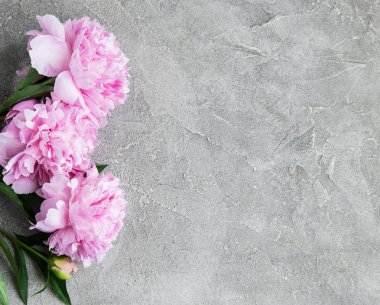 güzel pembe şakayık çiçekleri taş zemin üzerine