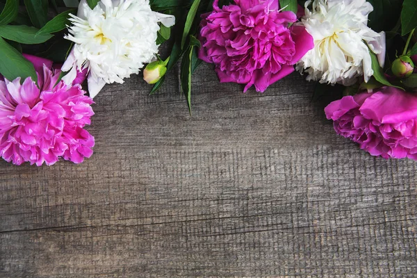 beautiful pink and white peony flowers on a old wooden background