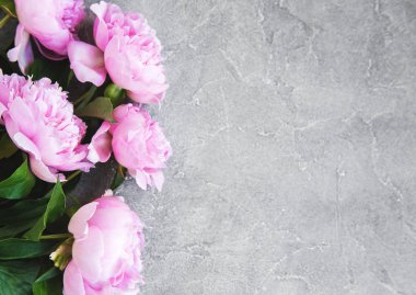 güzel pembe şakayık çiçekleri taş zemin üzerine