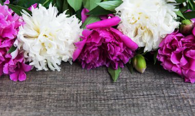 eski ahşap arka plan güzel pembe ve beyaz şakayık çiçekleri