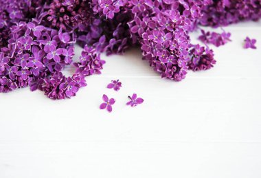 Beyaz ahşap zemin üzerinde Eflatun çiçekler