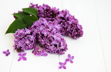 Bir masaya Lila çiçek