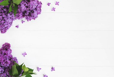 Beyaz ahşap zemin üzerinde Eflatun çiçekler