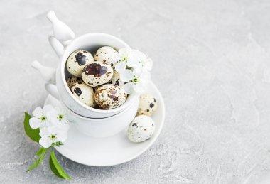 Bıldırcın yumurtası ve Bahar çiçeği bir beton zemin üzerine Kupası