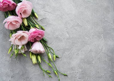 Beton zemin üzerine taze pembe eustoma çiçekli çerçeve