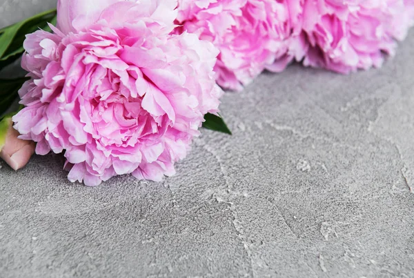 güzel pembe şakayık çiçekleri taş zemin üzerine