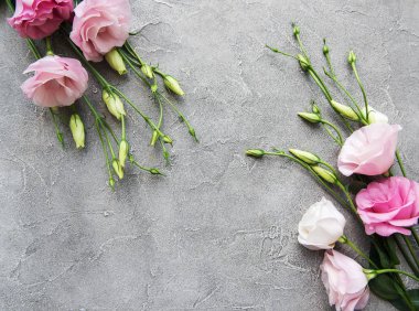 Beton zemin üzerine taze pembe eustoma çiçekli çerçeve