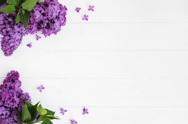 Beyaz ahşap zemin üzerinde Eflatun çiçekler