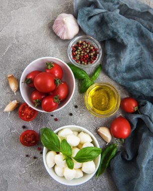 İtalyan gıda maddeleri - mozzarella, fesleğen, domates ve baharatlar