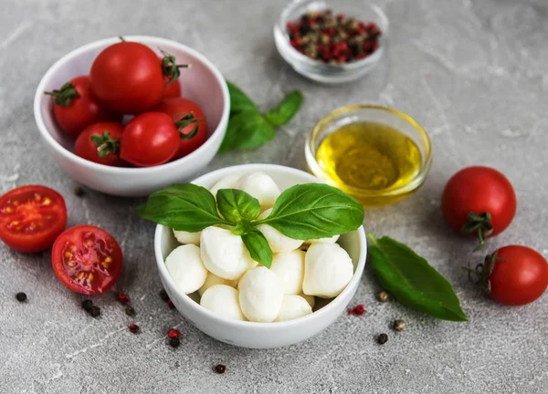 İtalyan gıda maddeleri - mozzarella, fesleğen, domates ve baharatlar