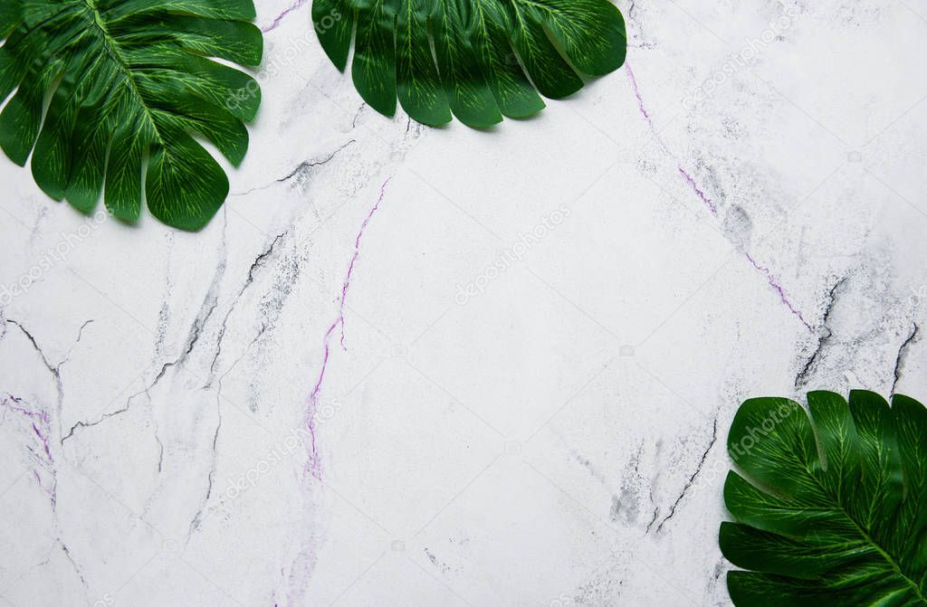 Monstera leaves on a marble background flat lay