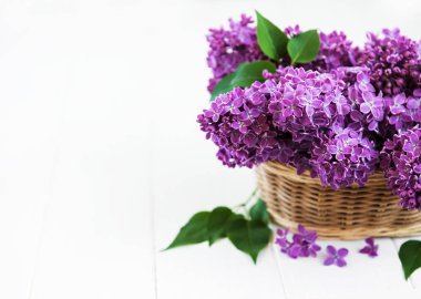 sepet ve Lila çiçek şube