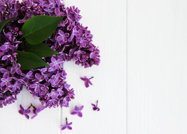 Beyaz ahşap zemin üzerinde Eflatun çiçekler