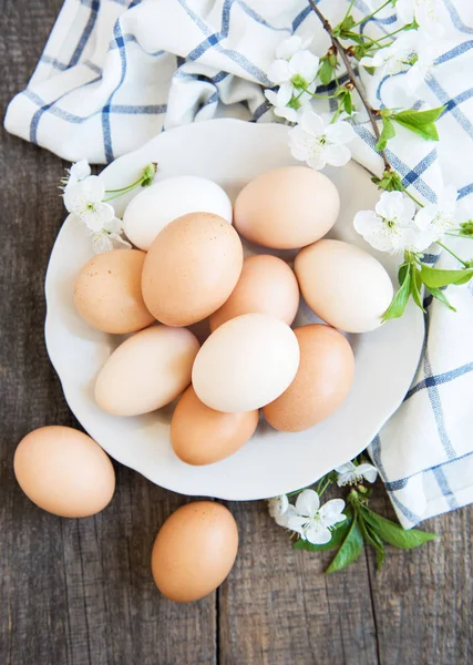 Bord Met Kippeneieren Lente Bloesem — Stockfoto