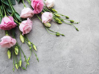 Beton zemin üzerine taze pembe eustoma çiçekli çerçeve