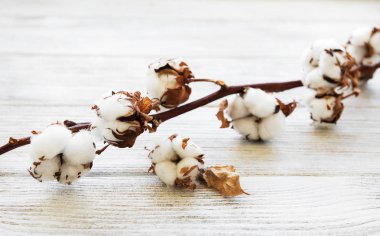 rustik ahşap masaya beyaz pamuklu çiçek