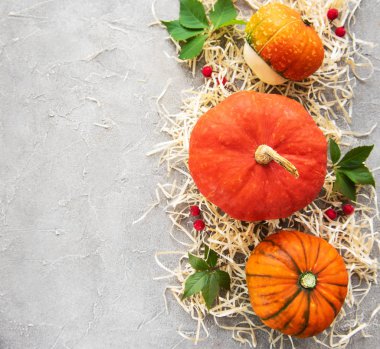 Bir beton zemin üzerine renkli sonbahar kabaklar