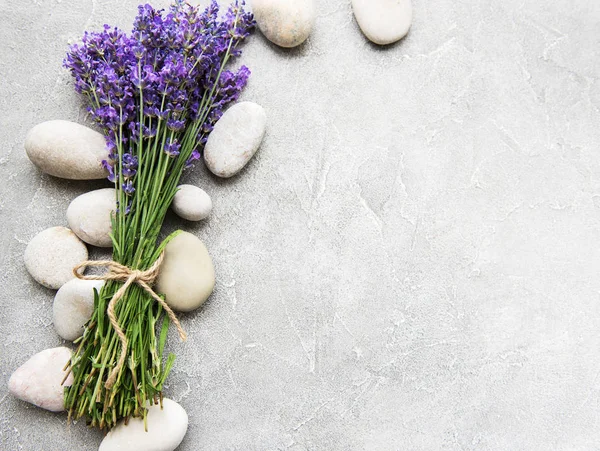 Frische Lavendelblüten Und Massagesteine Auf Betongrund — Stockfoto