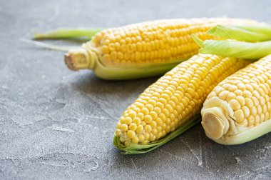 taze mısır koçanı beton zemin üzerinde