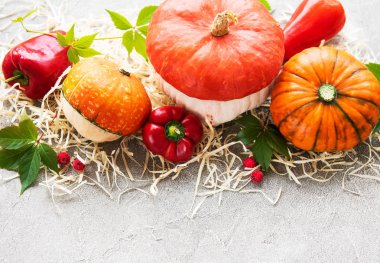 Bir beton zemin üzerine renkli sonbahar kabaklar