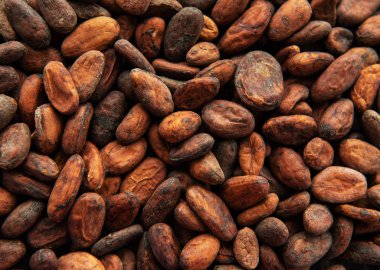Aromatik ham kakao çekirdekleri arka plan. Üstten Görünüm.