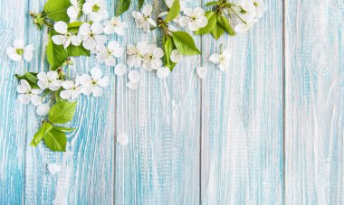 Ahşap arka plan bahar kiraz çiçeği