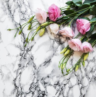 Mermer zemin üzerine taze pembe eustoma çiçekli çerçeve