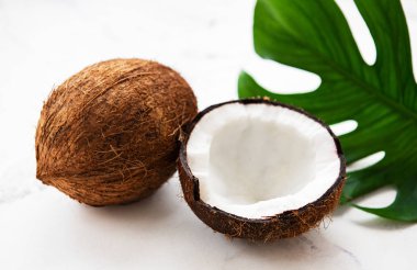 Yeşil Hindistan cevizi yaprakları bir beyaz mermer zemin üzerine