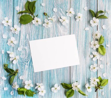 Bahar kiraz çiçeği