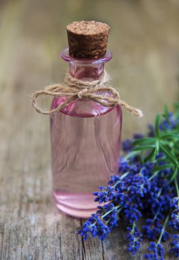 Esans taze lavanta ile