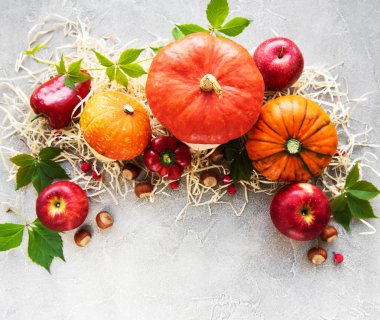 Bir beton zemin üzerine renkli sonbahar kabaklar