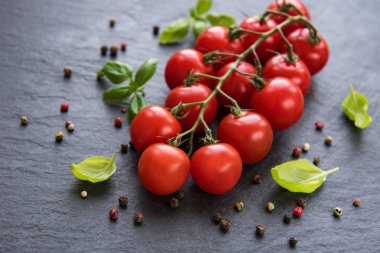 bir siyah kiraz domates