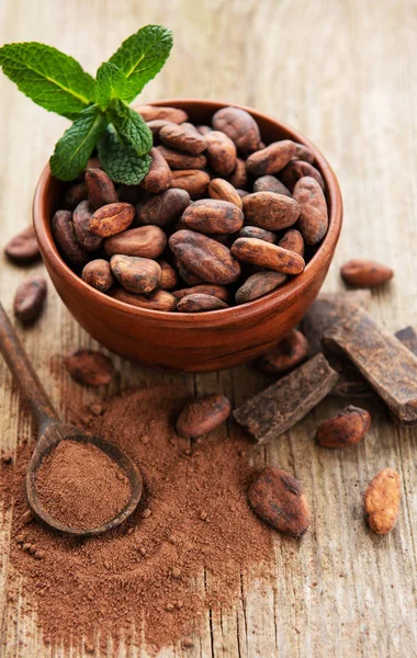 Granos de cacao y polvo — Foto de Stock
