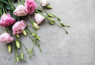 Taze pembe eustoma çiçek