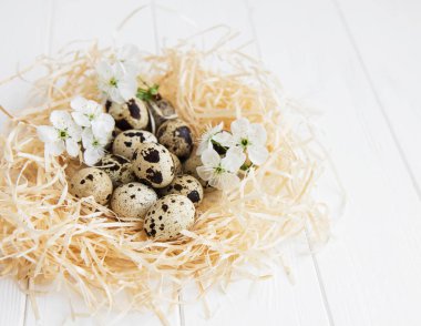 Bıldırcın yumurtalı yuva.